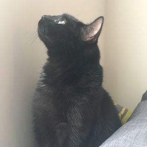 Meet your Posher, Solji